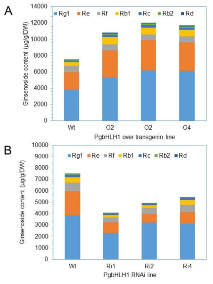 Contents of ginsenosides in wild-type and transgenic ginseng root lines overexpressing (A) and interferring of PgbHLH1 gene (B)