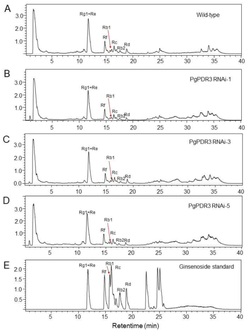 LC analysis in the adventitious roots of wild-type and transgenic PgPDR3 RNAi lines of Panax ginseng. A. LC chromatogram in wild-type ginseng roots. B-D. LC chromatogram of transgenic PgPDR3 RNAi lines. E. LC chromatograms of seven authentic ginsenosides