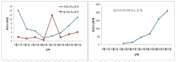 유기단감 과수원내 시기별 페로몬 트랩에 포획된 노린재 발생 추이 (좌: 썩덩나무노린재+갈색날개노린재, 우: 톱다리개미허리노린재)