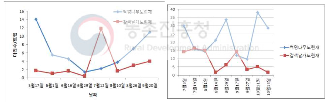 썩덩나무노린재, 갈색날개노린재 발생추이 (2018(좌)-2019(우))