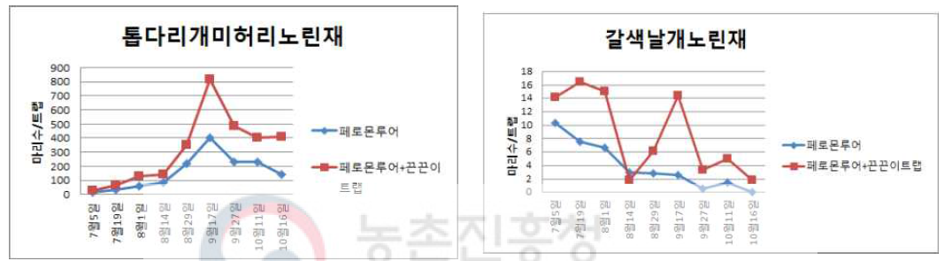 톱다리개미허리노린재 발생 추이 (좌), 갈색날개노린재 발생 추이(우), 담양