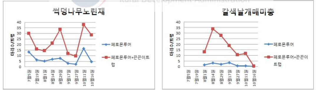 썩덩나무노린재 발생 추이(좌), 갈색날개매미충 발생 추이(우), 담양 * 시험기간은 6월 21일부터 10월 16일(4개월)까지 2주 간격으로 실시 * 처리구로 선정된 단감원을 동쪽과 서쪽으로 나누어, 각각 5개씩 로켓트랩을 10m간격으로 설치 * 서쪽의 로켓트랩 5개의 양 옆에 끈끈이트랩 양면 판넬을 각 1개씩 총 2개씩 설치