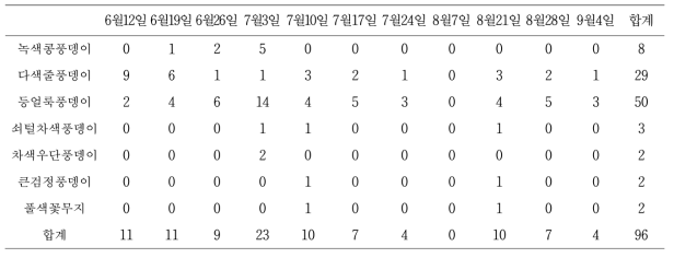 시기별 유기재배 고구마 포장 굼벵이 성충(풍뎅이, 꽃무지)의 발생소장(농과원포장)