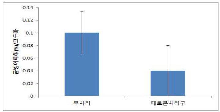 페로몬트랩 이용 대량포획을 통한 고구마의 굼벵이 피해 감소 효과