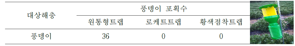 트랩별 굼벵이 성충(풍뎅이) 유인 효과 비교(완주 고구마재배 포장, 2019. 6.16~7.12)