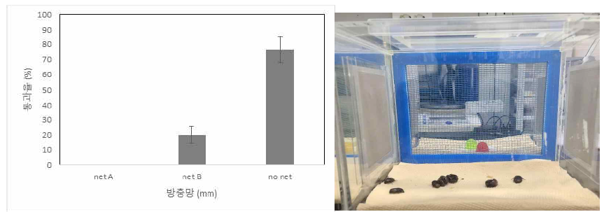 방충망이용 굼벵이성충(꽃무지) 이동 차단 효과