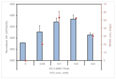 균주 간의 모노 에틸 아젤라익산 생산량 차이에 따른 바이오센서의 GFP 발현양 비교