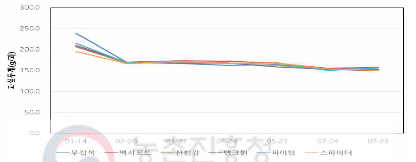 생육시기별 과실무게 변화