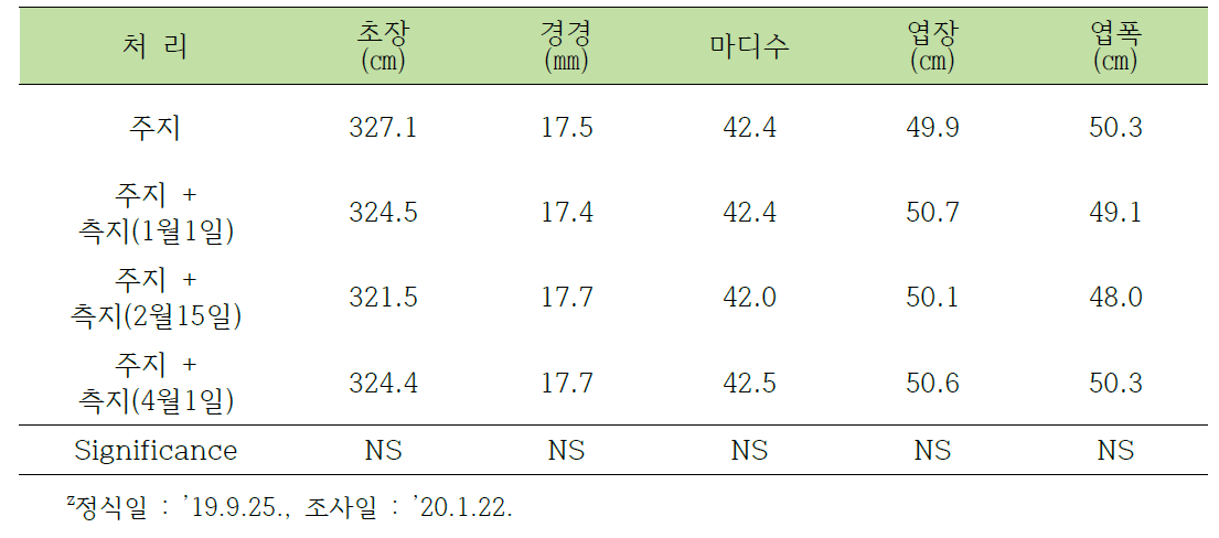 동양계 토마토 장기 수경재배 시 측지 추가 유인이 식물체 생육에 미치는 영향z