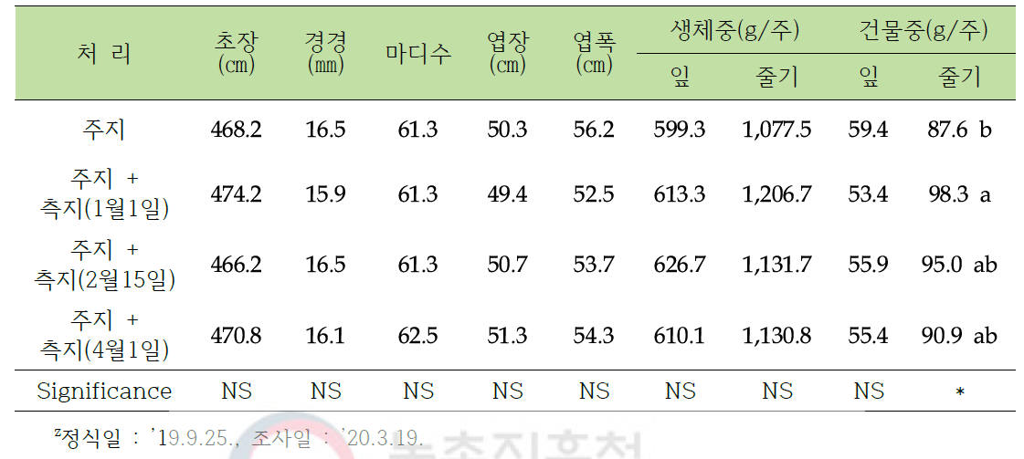 동양계 토마토 장기 수경재배 시 측지 추가 유인이 식물체 생육에 미치는 영향z