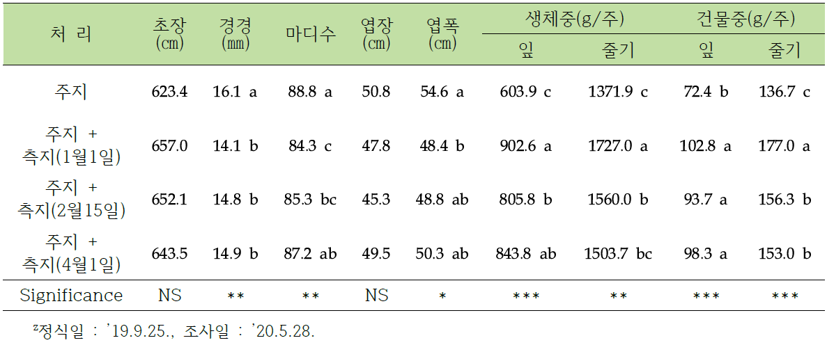 동양계 토마토 장기 수경재배 시 측지 추가 유인이 식물체 생육에 미치는 영향z