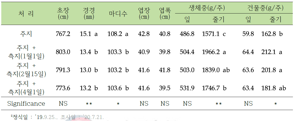 동양계 토마토 장기 수경재배 시 측지 추가 유인이 식물체 생육에 미치는 영향z