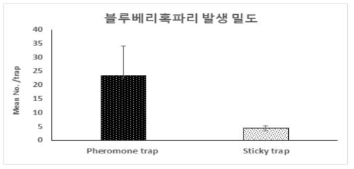 페로몬트랩과 점착 트랩에 대한 블루베리혹파리 포획 밀도 비교