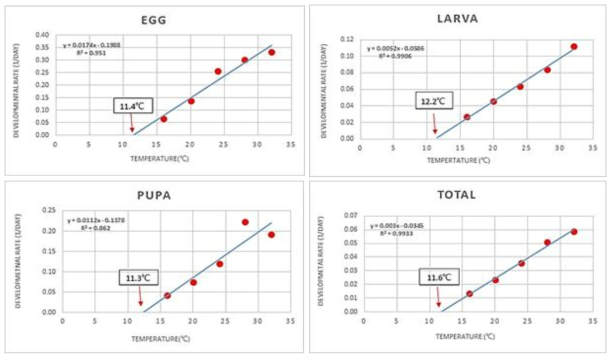 5개 온도 조건(16, 20, 24, 28, 32℃)에서 직선회귀식을 이용한 감자뿔나방 발육