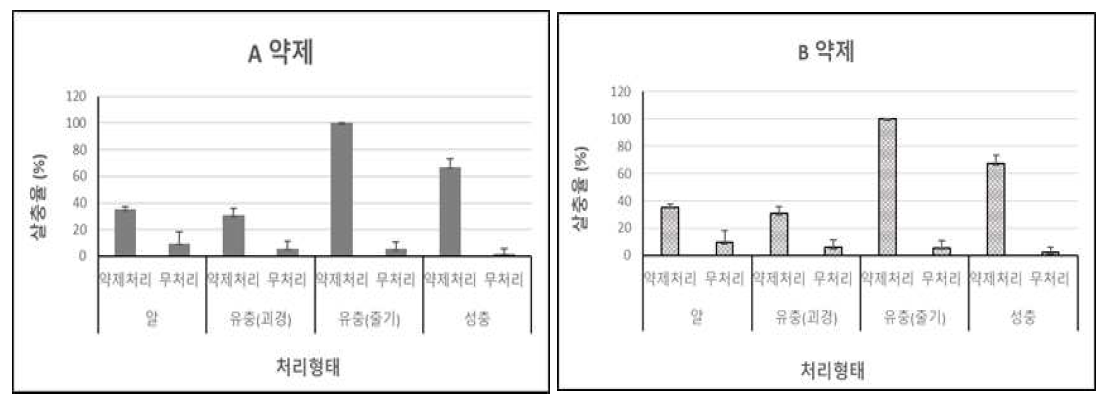 감자뿔나방 각 태별 등록 약제 실내 약제 효과 (A: 스피네토람액상수화제, B: 클로란트라닐리프롤∙인독사카브입상수화제)