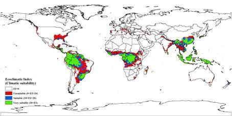 RCP 8.5 시나리오를 적용한 노랑미친개미의 세계 잠재적 분포 이동 평가 (Jung et al., Journal of Asia-Pacific biodiversity, 2017b)