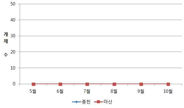 조사지별(충남) 감자뿔나방 발생 개체수