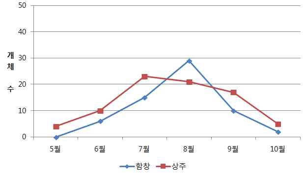 조사지별(경북) 감자뿔나방 발생 개체수