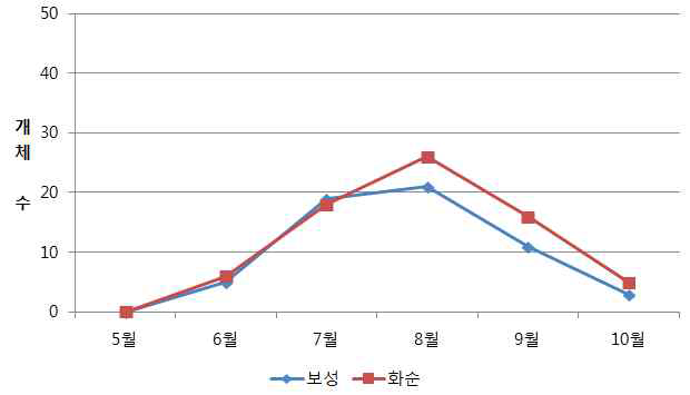 조사지별(전남) 감자뿔나방 발생 개체수