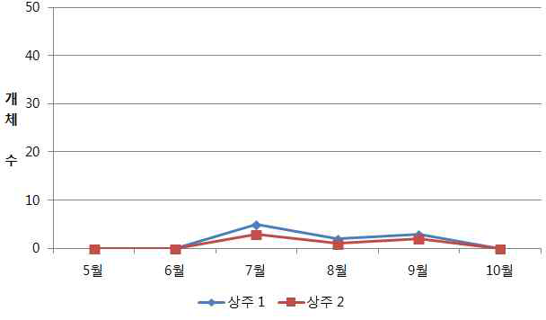 조사지별(경북) 블루베리혹파리 발생 개체수