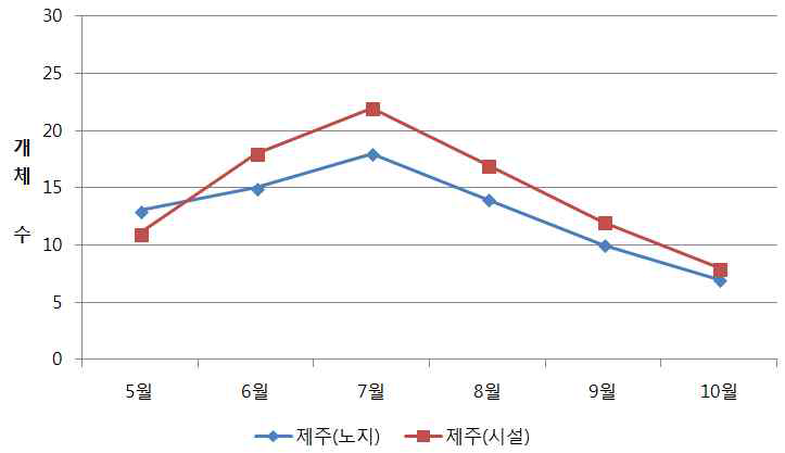 조사지별(제주) 블루베리혹파리 발생 개체수