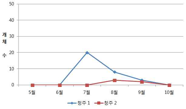 조사지별(충북) 블루베리혹파리 발생 개체수