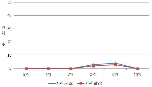 조사지별(충남) 블루베리혹파리 발생 개체수