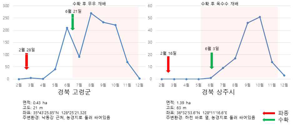 경상북도 지역의 감자뿔나방 발생 양상