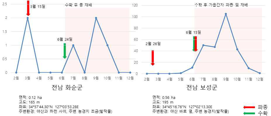 전라남도 지역의 감자뿔나방 발생 양상