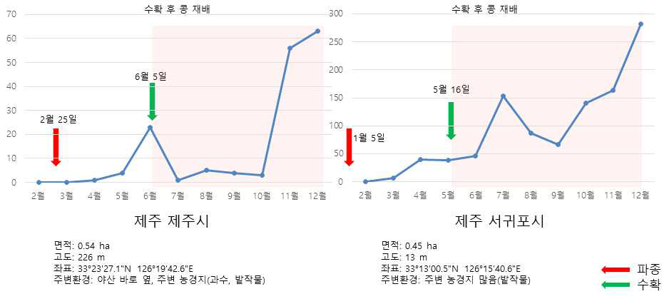 제주 지역의 감자뿔나방 발생 양상