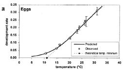 Temperature-dependent developmental rates (day-1) for eggs stage of P. operculella (Sporleder et al. 2004)