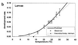 Temperature-dependent developmental rates (day-1) for larvae stage of P. operculella (Sporleder et al. 2004)