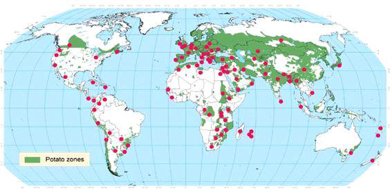Worldwide distribution of the potato tuber moth Phthorimaea operculella (Kroschel and Sporleder 2006)