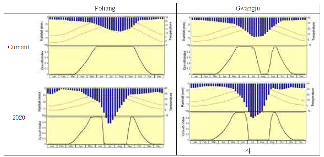 Climatic data for Pohang and Gwangju in the current and 2020. Blue bars mean precipitation, and the graph below means Growth Index of potato tuber moth from January to December