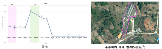 전북지역의 블루베리혹파리 발생 양상