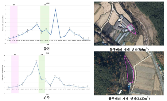 경남 지역의 블루베리혹파리 발생 양상