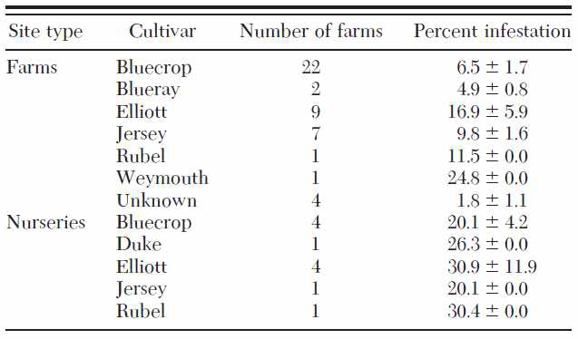 블루베리 농장 및 종묘장에서 감염 수준에 대해 조사 된 블루베리 품종