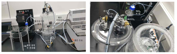 공학부 개발 장치를 활용한 CO2 와 NH3 측정조건 설정 실험