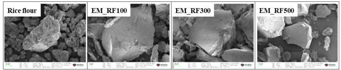 HR FE-SEM (high-resolution field-emission scanning electron microscopy)으로 관찰한 멥쌀가루(rice flour) 및 효소 처리 멥쌀가루(EM_RF)의 분석 결과. EM_RF100, EM_RF300, and EM_RF500 represented enzymatically modified rice flour with different pullulanase concentrations (100, 300, and 500 NPUN per g of dry basis rice flour, respectively)