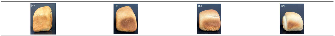 효소 처리 멥쌀가루(EM_RF) 첨가 식빵 외형. (A) 저열량 식빵, (B) 10% EM_RF 첨가 식빵, (C) 20% EM_RF 첨가 식빵, (D) 30% EM_RF 첨가 식빵