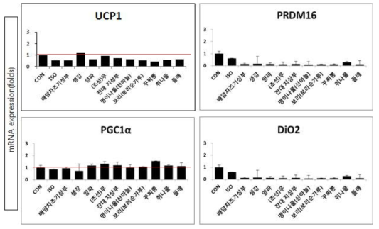 선정된 소재(10종)의 갈색지방 관련 유전자 발현 평가