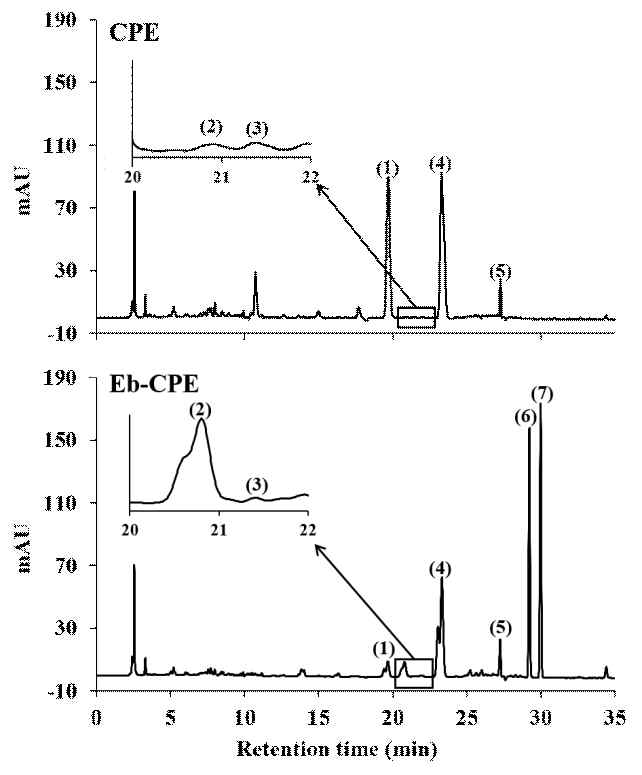 진피 추출물(CPE)과 진피 추출물 효소처리물(Eb-CPE)의 크로마토그램. Peaks; (1) narirutin, (2) naringin, (3) prunin, (4) hesperidin, (5) hesperetin-7-glucoside, (6) naringenin, and (7) hesperetin