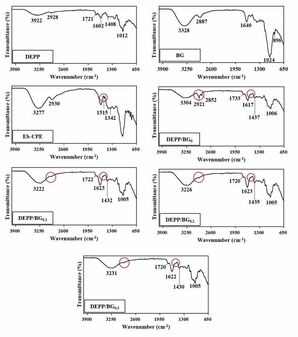 탈-에스테르화 자두 펙틴(DEPP)/보리 베타-글루칸(BG) 하이드로겔의 FT-IR 스펙트럼 분석. DEPP/BG0, DEPP/BG0.1, DEPP/BG0.2, and DEPP/BG0.3 represented hydrogel produced by DEPP and different concentrations of BG (0, 0.1, 0.2, and 0.3%, respectively)