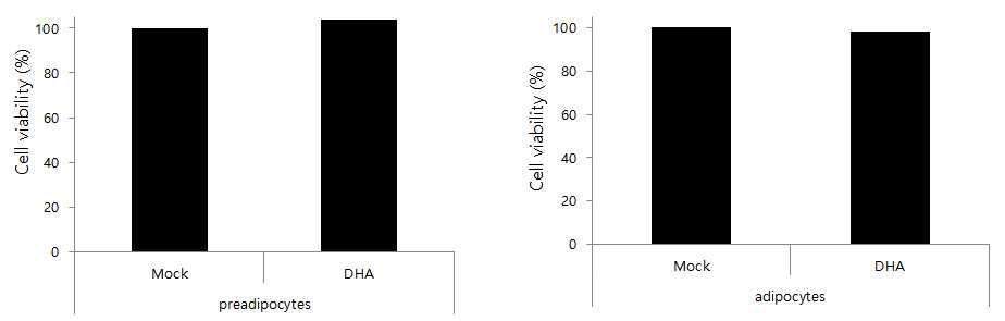 3T3-L1 세포에서 DHA의 세포독성 평가
