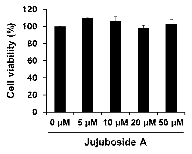 3T3-L1 세포에서 jujuboside A의 세포 독성 평가