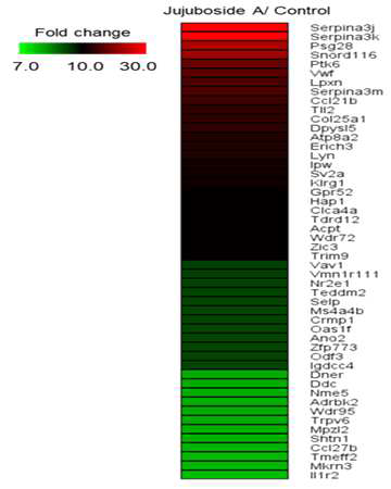 Jujuboside A 처리에 따라 증가되는 유전자의 heat map