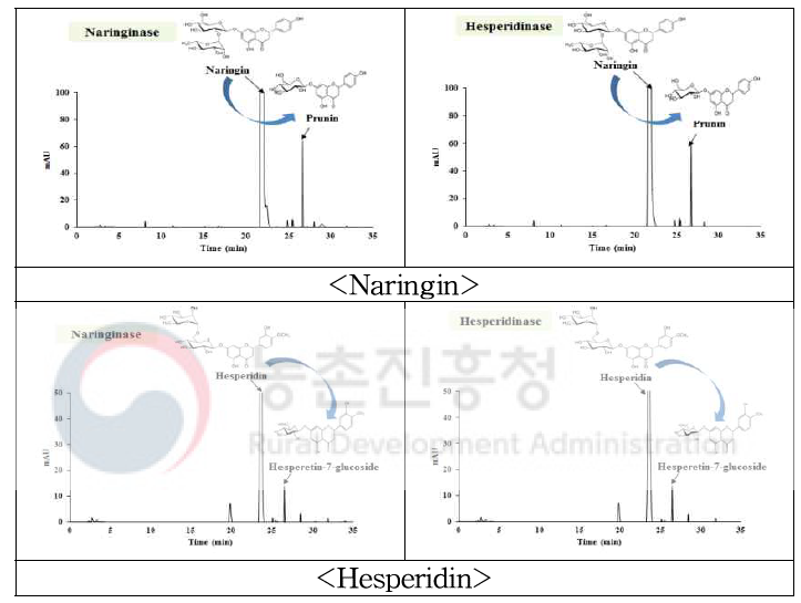 효소(naringinase, hesperidinase) 처리 후 표준시료(naringin, hesperidin)의 HPLC 크로마토그램 측정 결과