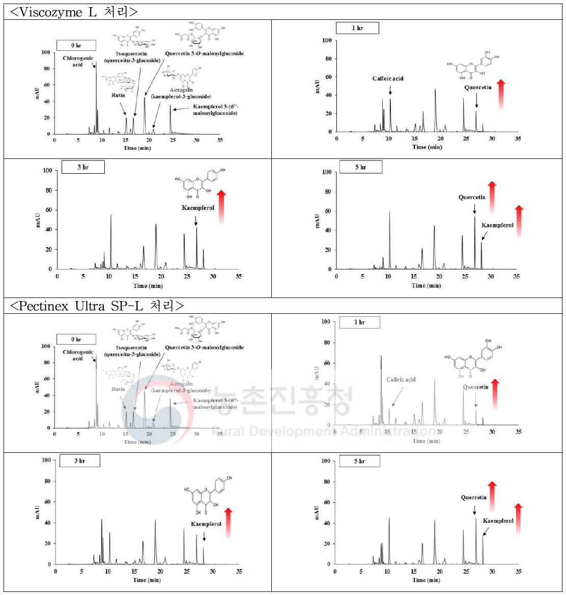 뽕잎 추출물 효소처리물(Viscozyme 및 Pectinex)의 RP-HPLC 크로마토그램