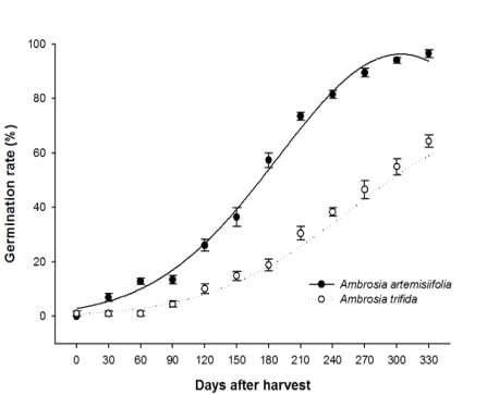 Changes in germination rates of Ambrosia artemisiifolia and Ambrosia trifida seeds after harvest. Seeds were stored at room temperature (25℃) until use for experiment