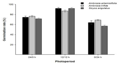 The effect of photoperiod on seed germination of A. artemisiifolia, A. trifida and S. angulatus